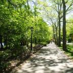 Caminhos para Passear - Central Park 
