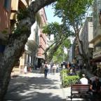 istanbul ruas arborizadas