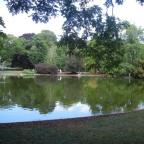 lagos no parque