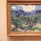 Vicent van Gogh - The Olive Trees 1889 - Museu de Artes Modernas – o MOMA.