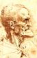 imagem de Australopithecus
